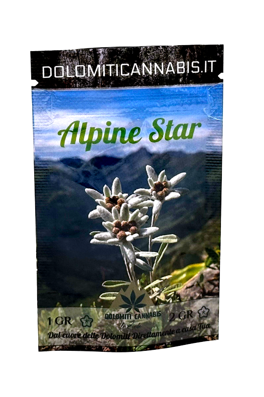 Cannabis Light Alpine Star CBD 13% CBD