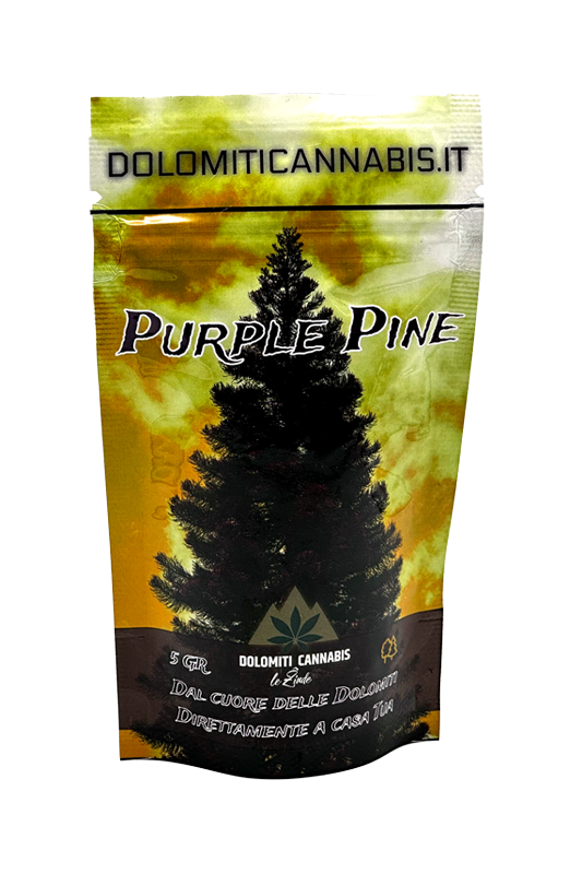 Cannabis Light Purple Pine 12% CBD