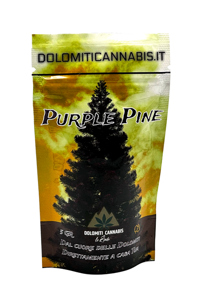 Cannabis Light Purple Pine 12% CBD